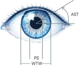 Golden Gate Optometry