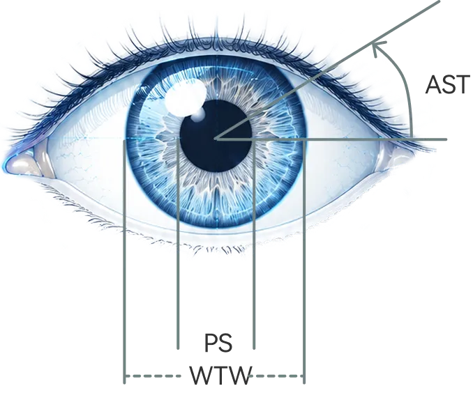 Eyeku Vision Studio Los Angeles